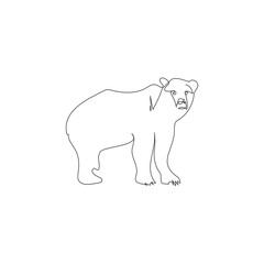bear one line vector illustration