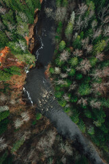 Aerial view of the river Amata in Latvia surrounded by trees, forest river in national park