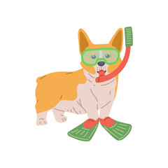 Cute dog breed pembroke welsh corgi, purebred pet with diving goggles and mask