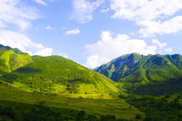 Green gorge of the Cherek-Bezengi river near the village of Bezengi