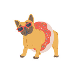 Fat pug dog in sunglasses and with lifebuoy, flat vector illustration isolated.