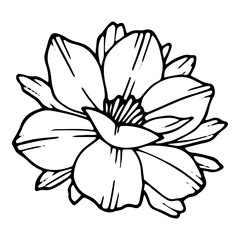 Park poppy icon, hand drawn and outline style