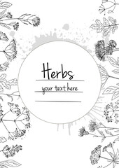 Herbs flowers vector color line. Space for text. Template with a sketch of herbs.