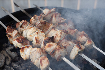 B-B-Q. Cooking blue pieces of meat on the grill. Traditional weekend picnic on a festive sunny day, harsh shadows. Street food.
