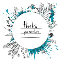 Herbs flowers vector color line. Space for text. Template with a sketch of herbs.