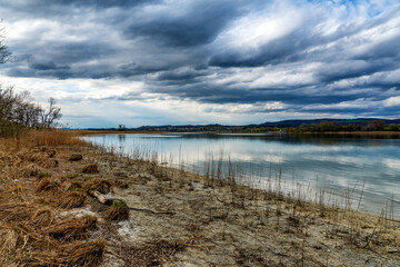 Halbinsel Mettnau Naturschutzgebiet im Frühjahr Seeufer