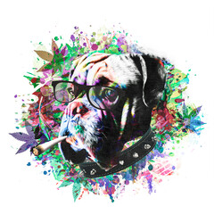 grunge background with graffiti and painted dog with cannabis cigarette © reznik_val