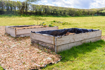 Gardener making a start with raised beds with one full, and one being filled with compost in a no-dig garden