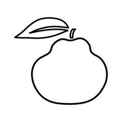 Uglyfruit vector outline illustration in minimalistic style on white background