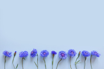 Flower border of blue flowers on pastel blue background. Top view, copy space. Empty space for text...