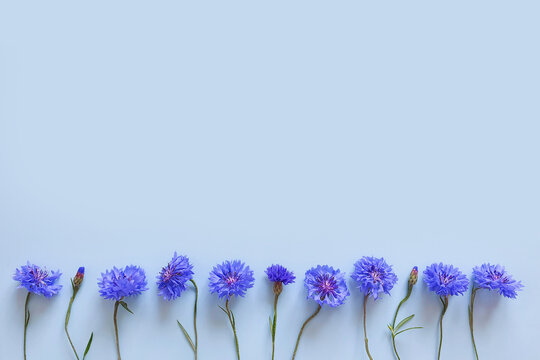 Flower border of blue flowers on pastel blue background. Top view, copy space. Empty space for text or beauty product.