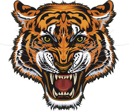 966 BEST Saber Tooth Tiger IMAGES, STOCK PHOTOS & VECTORS | Adobe Stock