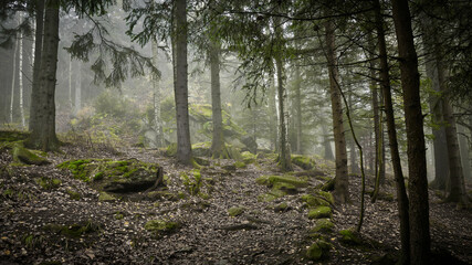 Zielone skałki - The green rocks © Pawel
