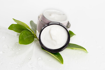 A jar with a cosmetic product on the background of a plant.