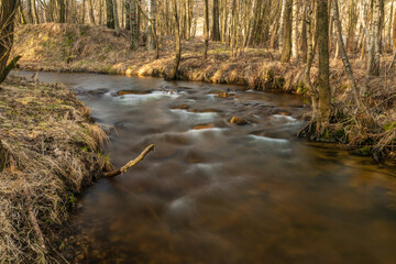 Olsovy creek near Rajec village in cold spring morning