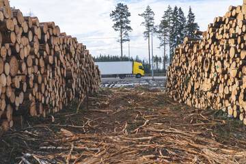 deforestation for roads, wood harvesting, wood as a renewable biological resource, deforestation area for highways