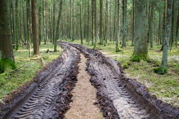 Big car tire print on ground. Traces of tractor or bulldozer tires in large mud. Imprint from...