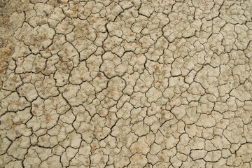 The texture is in the form of dry cracked clay earth.