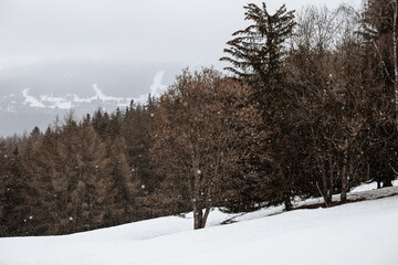 Fototapeta na wymiar La neige tombe sur les pistes de ski