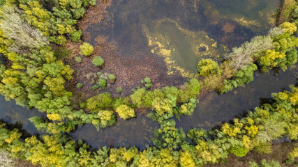 swamp view from drone. Swampy landscape. View of an impassable swamp from height. Aerial photography. Aerial view of a swamp scenery at sunrise