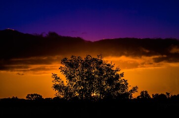 sunset in the forest