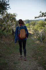 Naklejka na ściany i meble Woman in sportswear and backpack walking through a cherry bush plantation.
