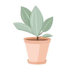 Vector isolated illustration on white background. Cartoon house plant in a clay pot. Growing ficus. Design element