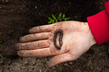 worm on the woman hand