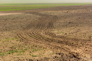 plowed field in spring