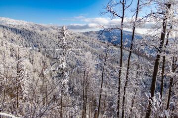 Polish mountains in winter sunny day, Malinowska Skala,. Szczyrk.