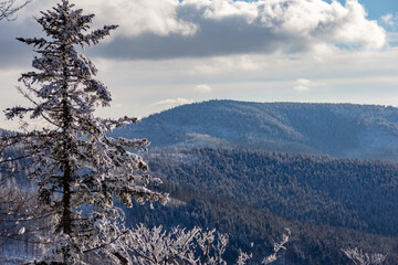 Polish mountains in winter sunny day, Malinowska Skala,. Szczyrk.