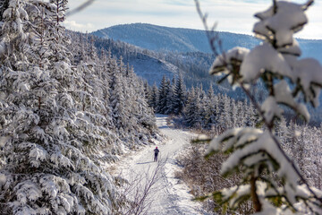 Polish mountains in winter sunny day, Malinowska Skala,. Szczyrk.