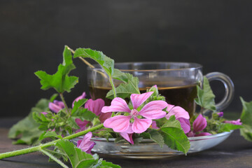 Malva sylvestris tea ; Hibiscus tea