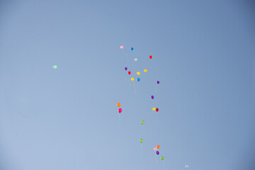 Colored balloons fly in the blue sky from happy people. Releasing balloons of different colors at the party or celebration.