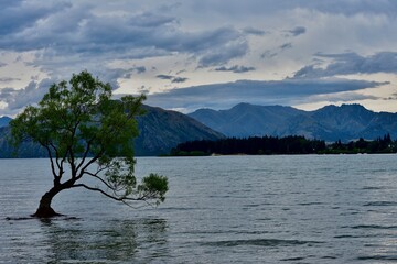 Wanaka Lake