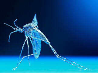 Buzzing and biting mosquito waiting for spring