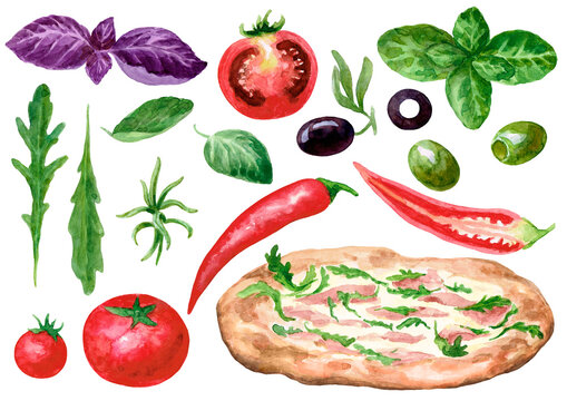 Set. Pizza and ingredients. Spicy herbs, chili peppers, tomatoes, olives. Watercolour. The images are hand-drawn and isolated on a white background.
