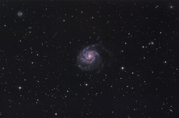 Galassia Girandola M101