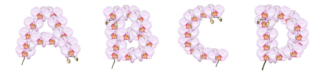 Fototapeta na wymiar The letters A, B, C, D are made from orchid flowers