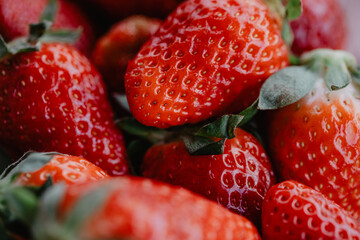 Frische rote Erdbeeren frisch vom Feld gepflückt