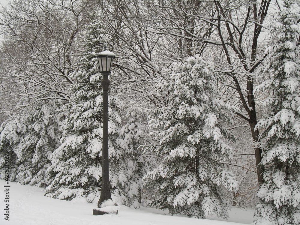 Wall mural Lightpost in snow