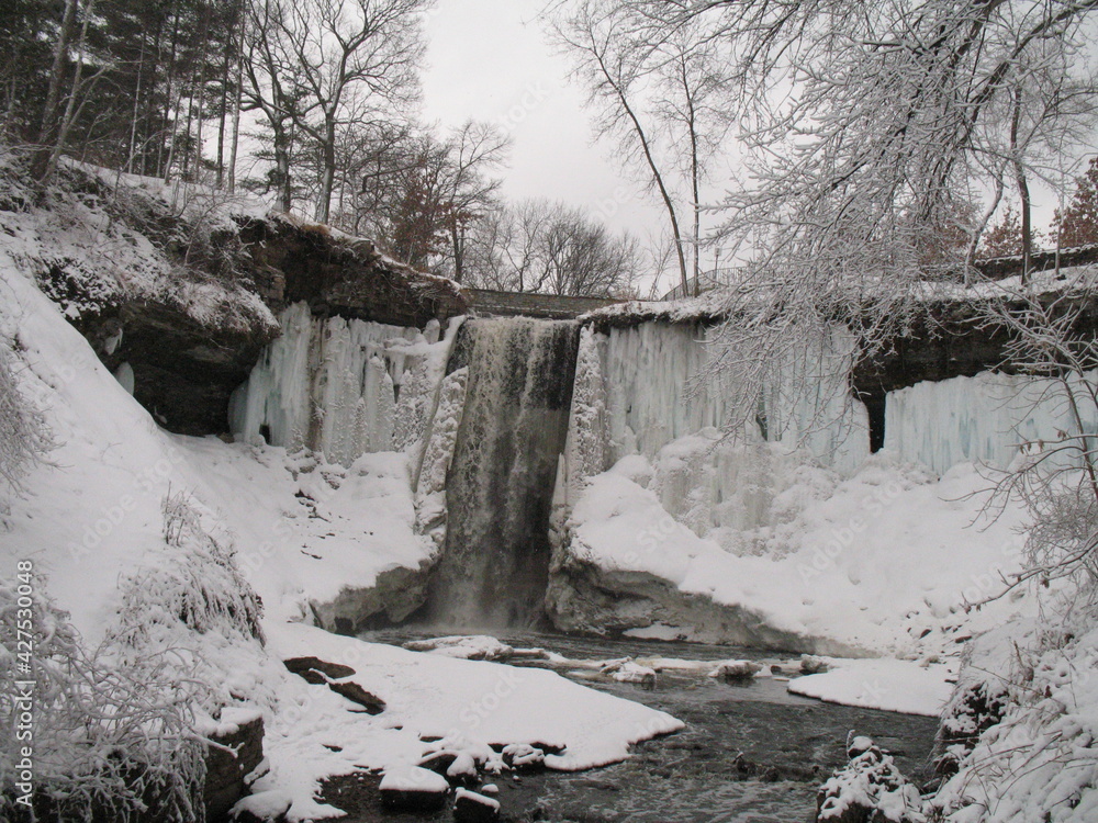 Canvas Prints Minnehaha Creek in Winter