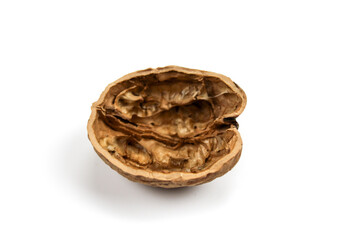 Empty half of a walnut shell on a white background. Walnut shell isolated on white background.