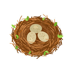 Birds nest with 3 eggs, branches and leaves. Vector illustration isolated on white background. - obrazy, fototapety, plakaty