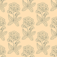 vector graphic seamless pattern with primula plant