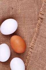 Close-up brown egg and white eggs.