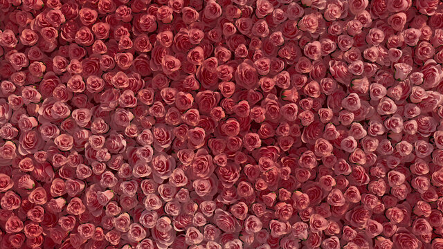 Colorful, Romantic Wall background with Roses. Pink, Floral Wallpaper with Elegant, Bright flowers. 3D Render