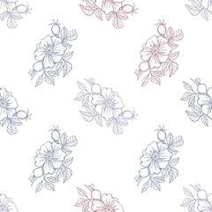 vector graphic seamless pattern with rose hip