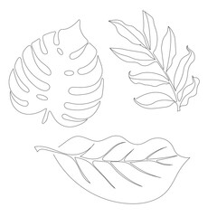 Tropical Leaves in doodle style. Vector hand drawn black line design elements. Exotic summer botanical illustrations.