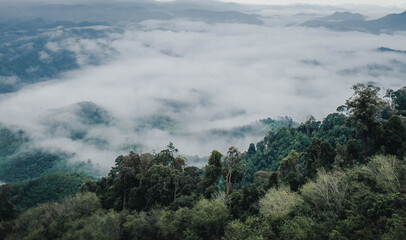 mist over mountain